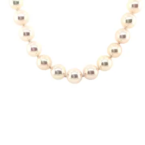 Beeghly & Co. Yellow Gold Akoya Pearl Necklace BCN-APL6MM