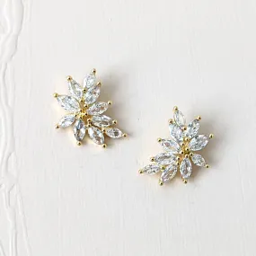 CZ Marquise Studs, Hetal