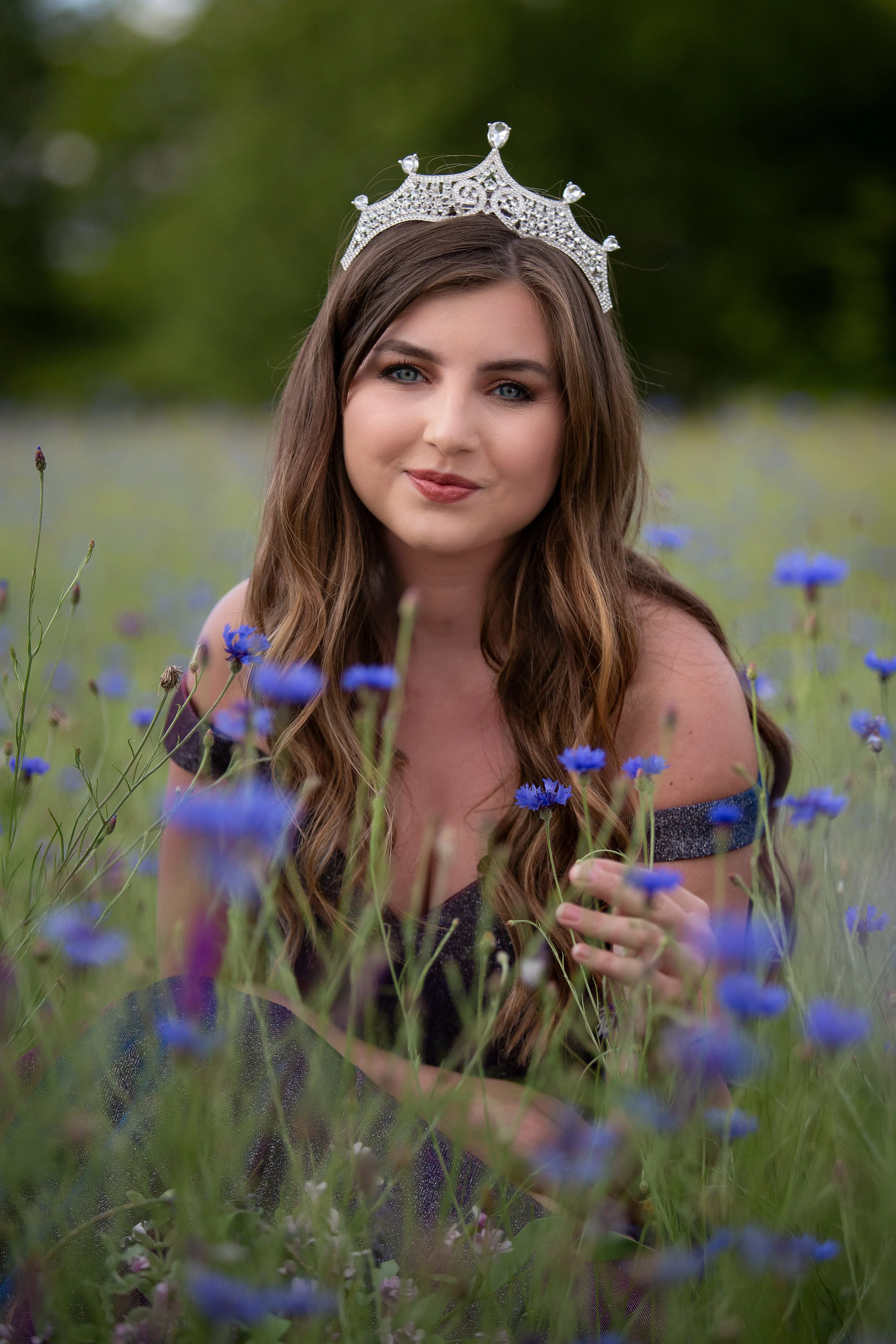 Elegant Classic Silver Diadem