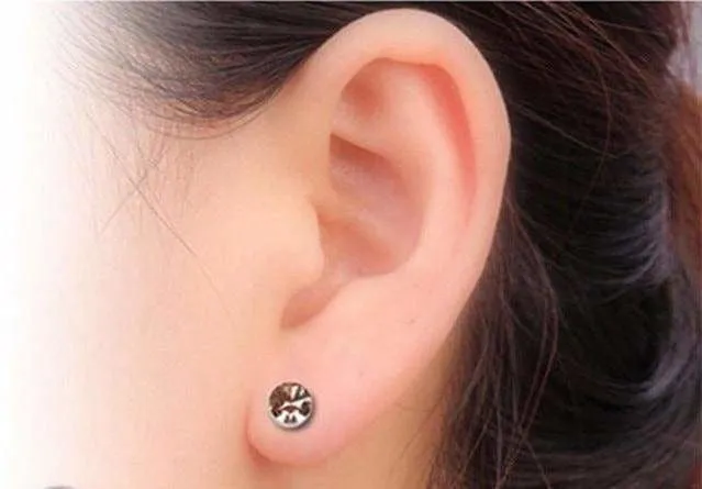 Magnetic Stud Slimming Earrings